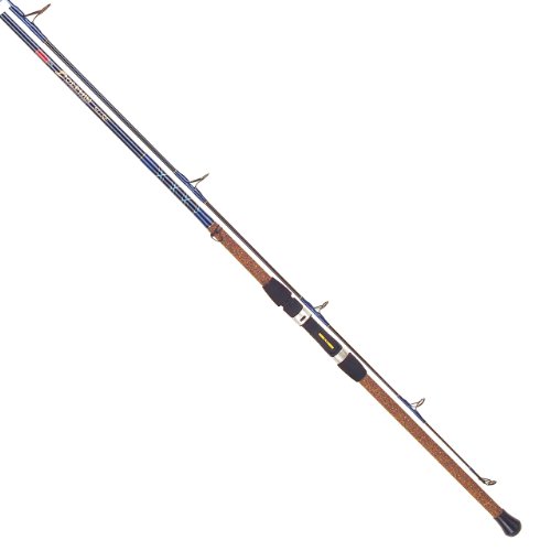 shimano eclipse surf rod 15ft