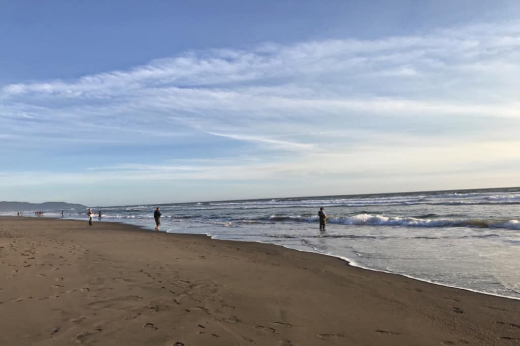 Can You Fish Without A Fishing License In California Beach? – Surfcasting Republic