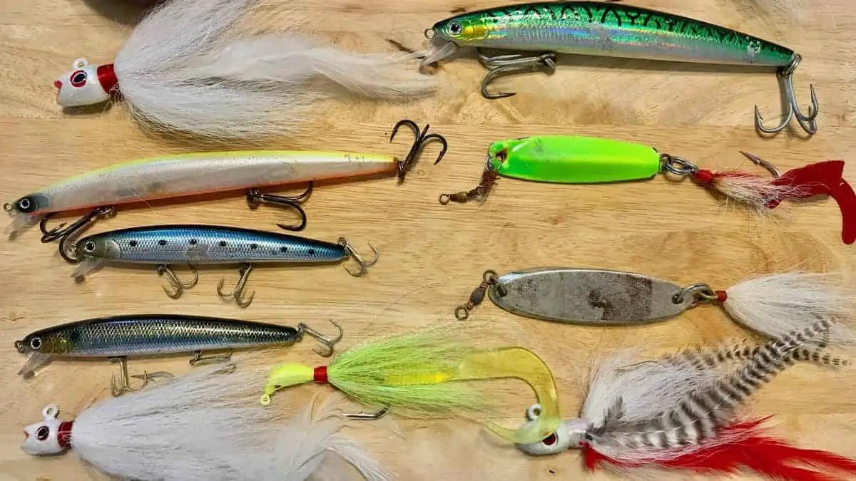 Baits & Lures To Use To Catch Striped Bass