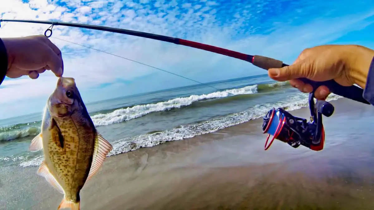 Surf Fishing Rod For Beginner