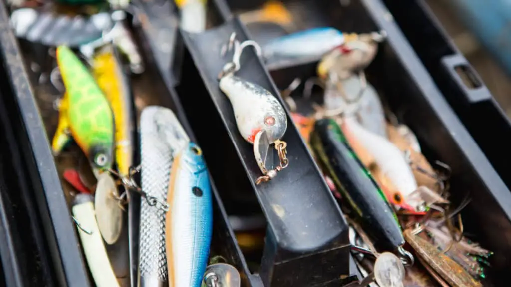 Different Type Of Baits And Lures For Striped Bass Surfcasting Republic