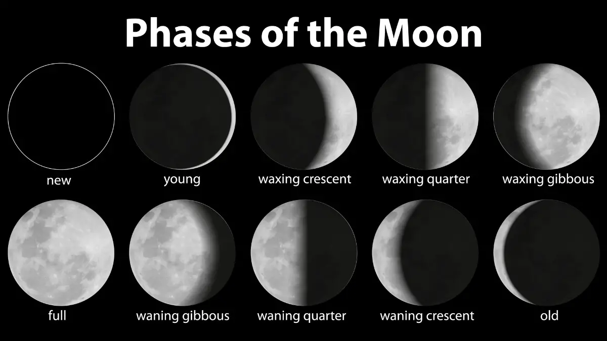 Do Moon Phases Affect Surf Fishing?