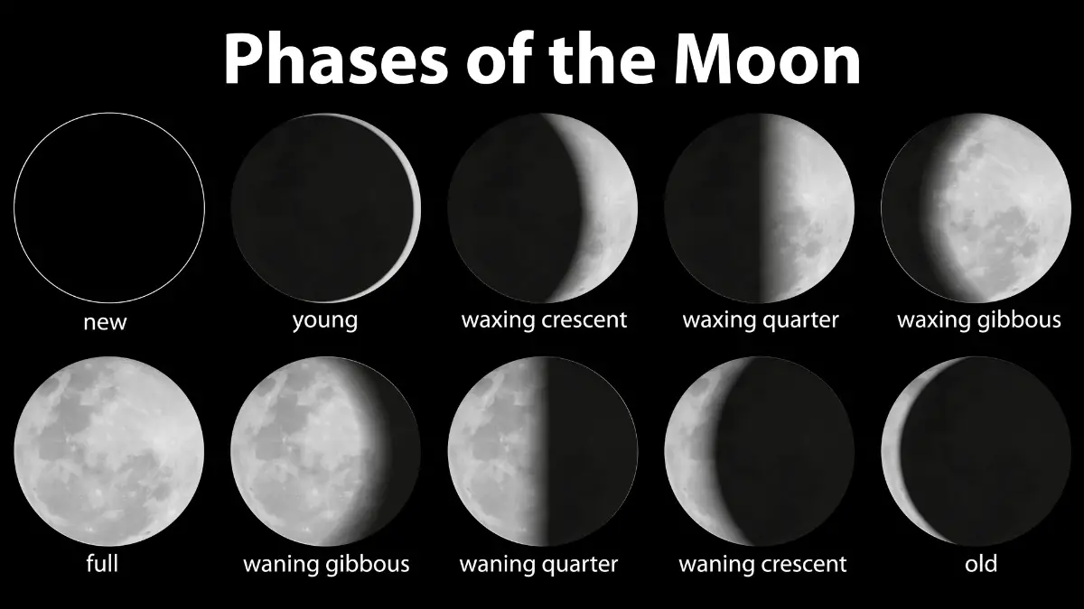 Do Moon Phases Affect Surf Fishing Surfcasting Republic