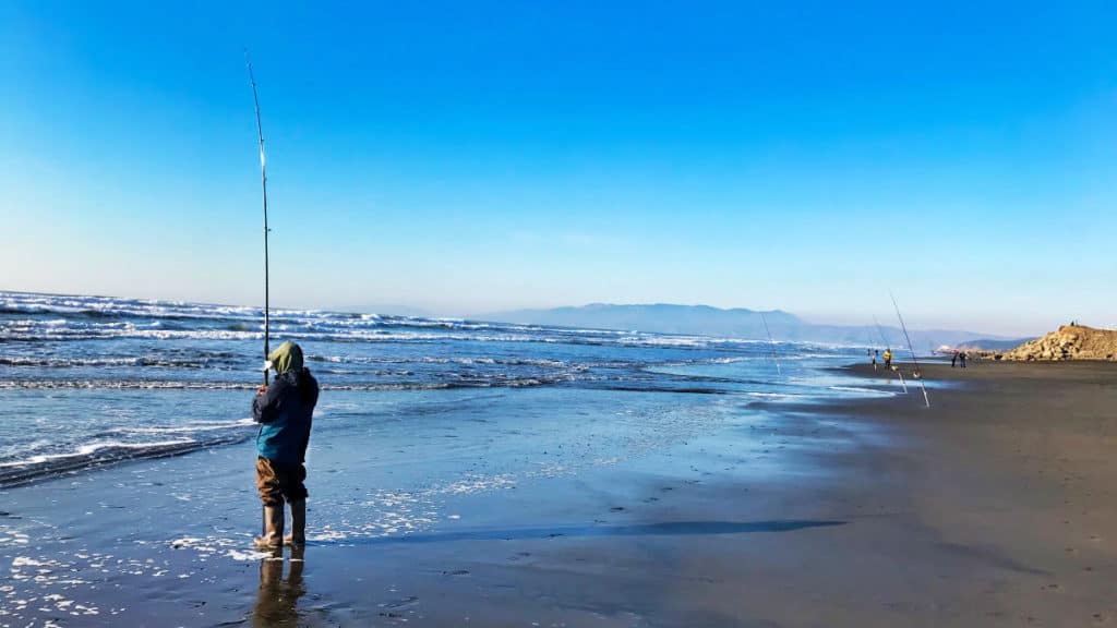 Surf Fishing Guide and Tips for Beginners Surfcasting Republic