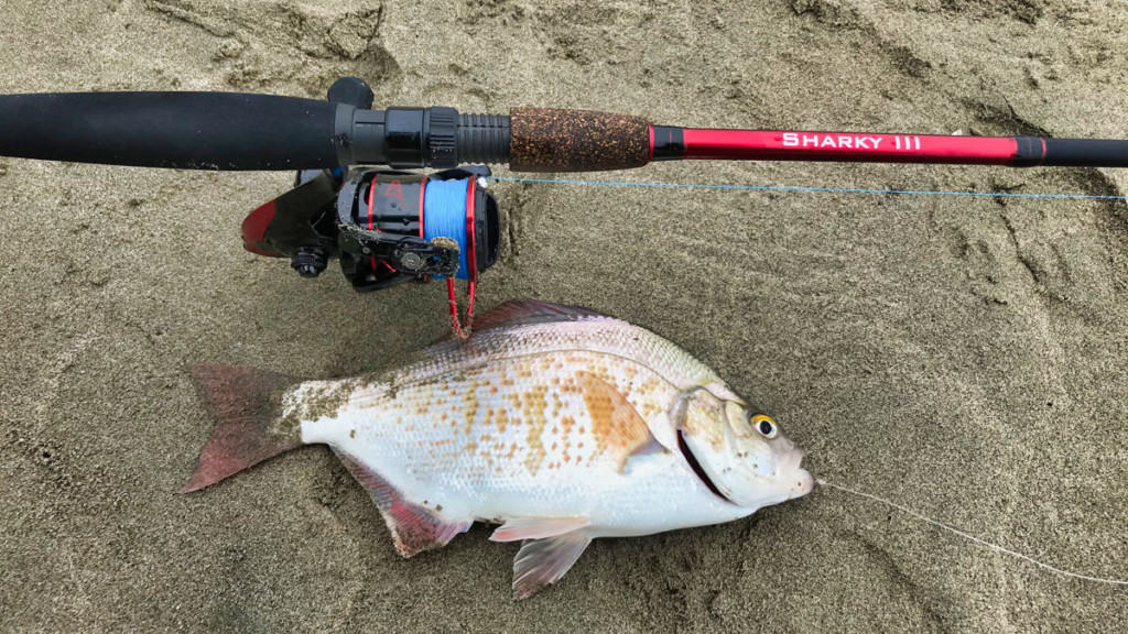 Best Light Tackle Combo For Surf Fishing Surfcasting