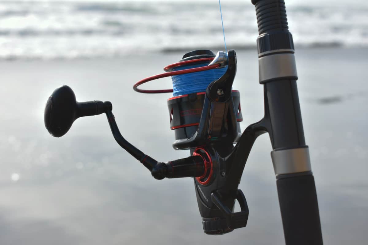 Sharky III Baitfeeder