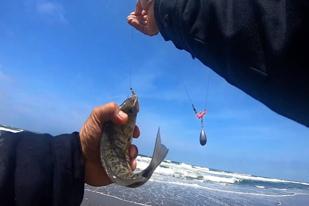 What Is The Difference Between Shock Leader And A Regular Leader