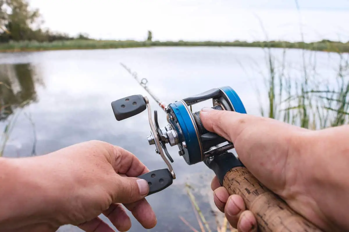 What's the Difference Between Casting & Spinning Rods