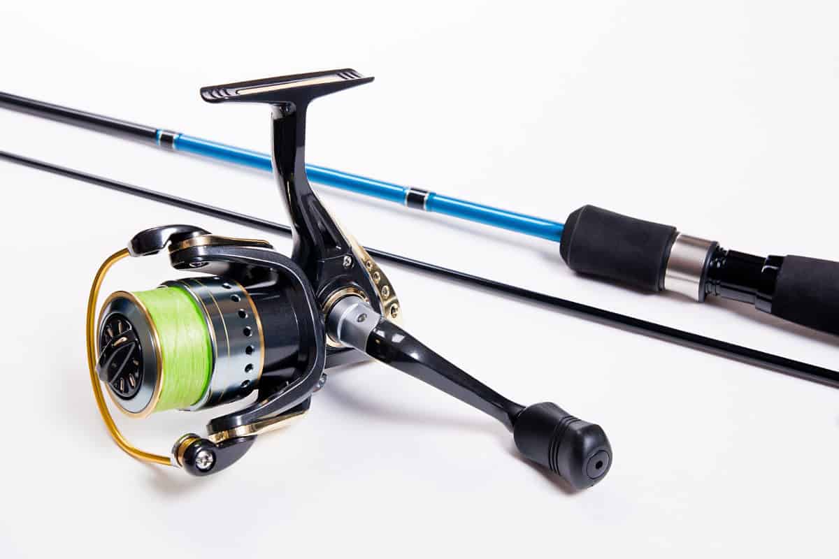 What's the Difference Between Casting & Spinning Rods