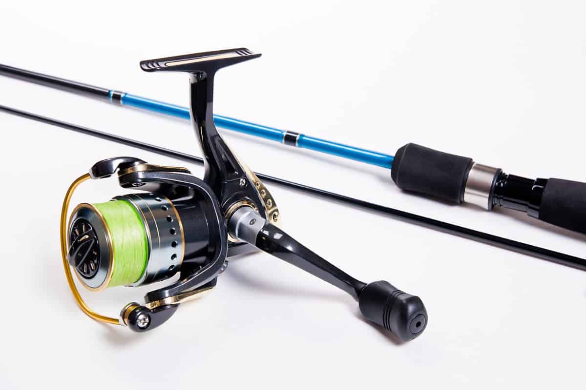 what-s-the-difference-between-baitcasting-spinning-rods-surfcasting