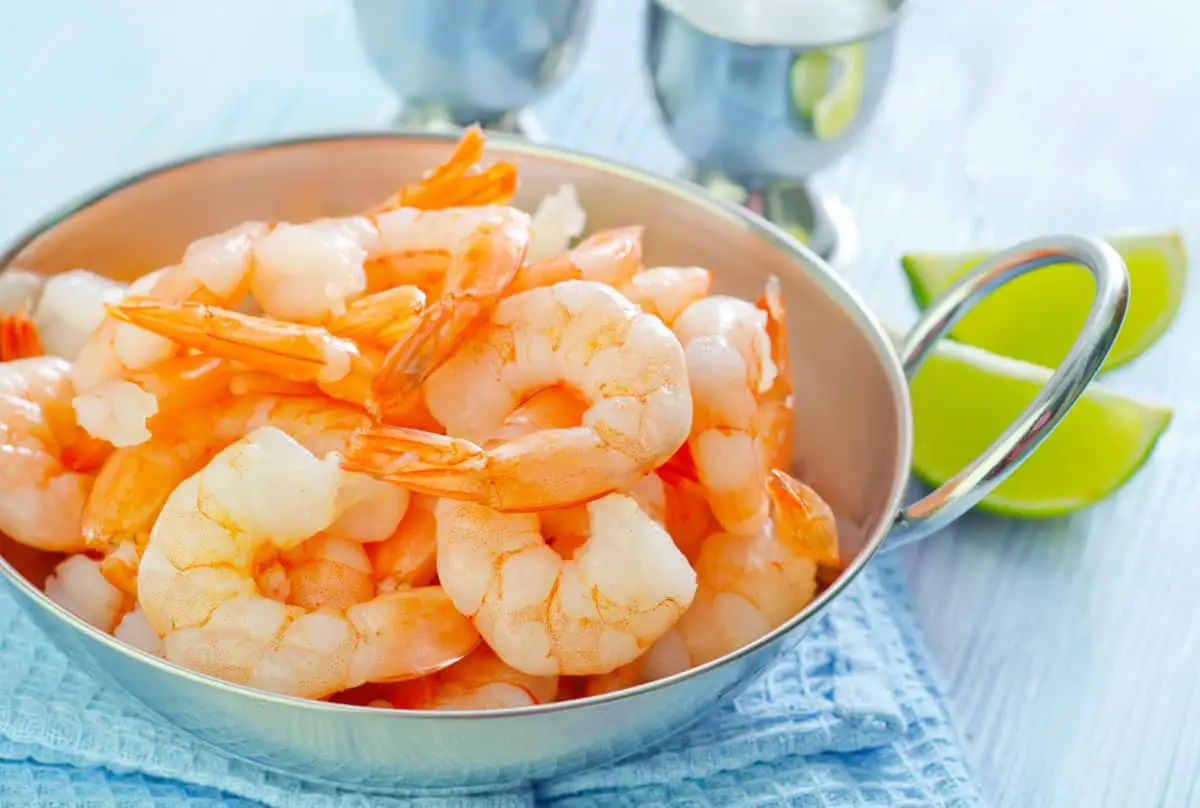 shrimps – Surfcasting Republic