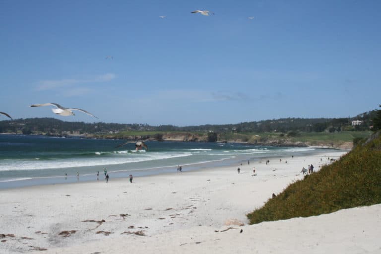 14 Best Spots To Surf Fish And Pier Fishing In California Surfcasting