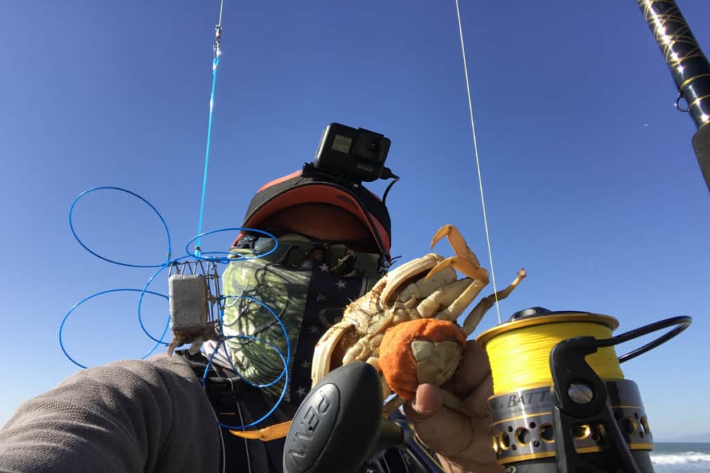 How To Catch Dungeness Crab From The Surf? A Complete Beginners Guide