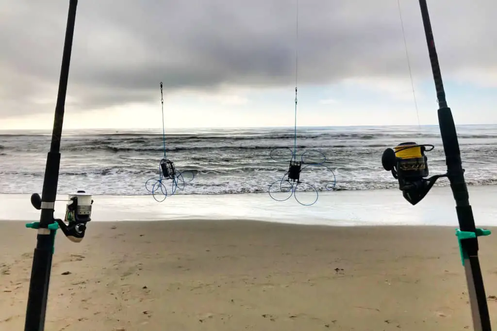 How To Catch Dungeness Crab From The Surf? A Complete Beginners Guide