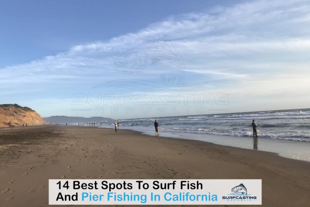 14 Best Spots To Surf Fish And Pier Fishing In California Surfcasting