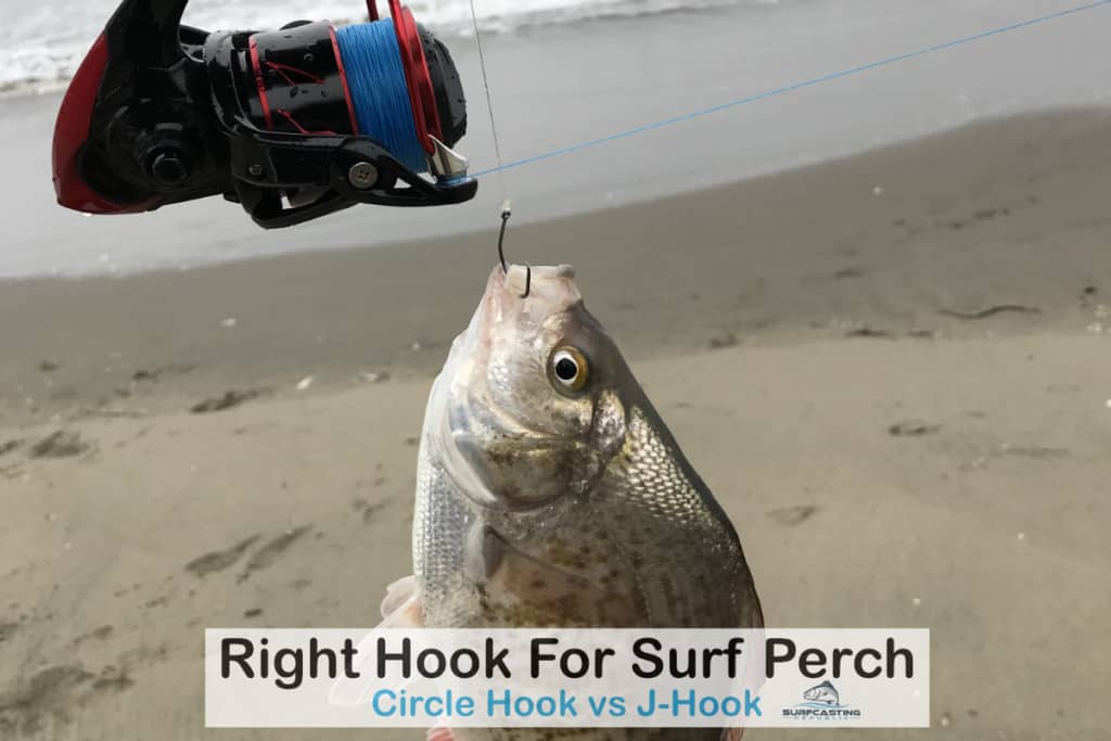 How To Select the Right Hook for Surfperch? Surfcasting Republic