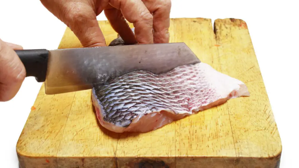 How To Properly Freeze Striped Bass And Avoid Freezer Burn