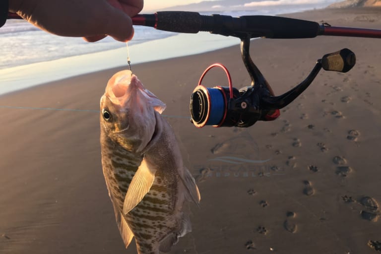 How To Select the Right Hook for Surfperch? Surfcasting Republic