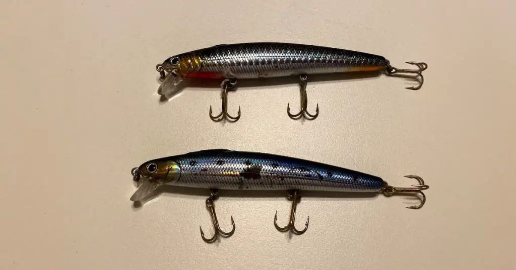 How To Surf Fish For Surf Perch? Surf Perch Fishing 101 Surfcasting