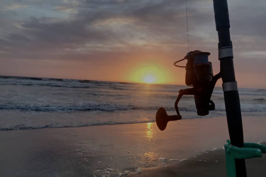 Best Surf Conditions to Catch Surfperch Tips And Guide Surfcasting