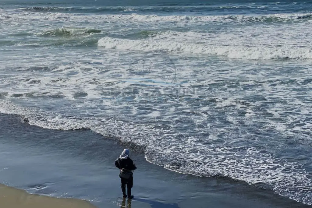 Best Surf Conditions to Catch Surfperch Tips And Guide Surfcasting