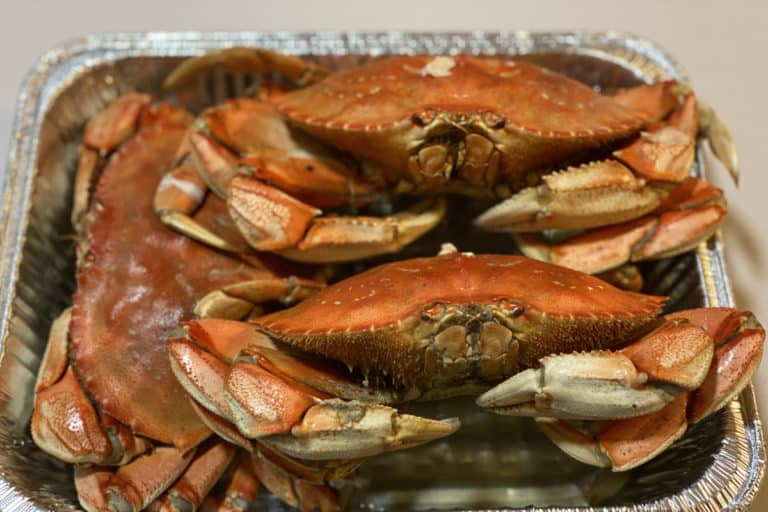 Is Dungeness Crab Safe to Eat? Surfcasting Republic