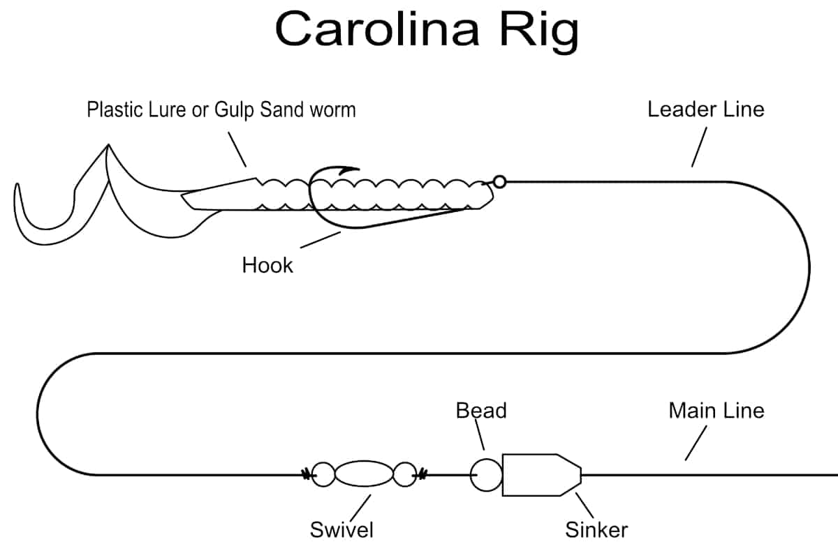 Can You Use a Carolina Rig for Surf Fishing? Surfcasting