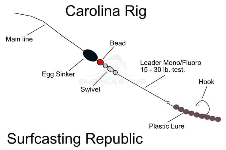 Can You Use a Carolina Rig for Surf Fishing? – Surfcasting Republic
