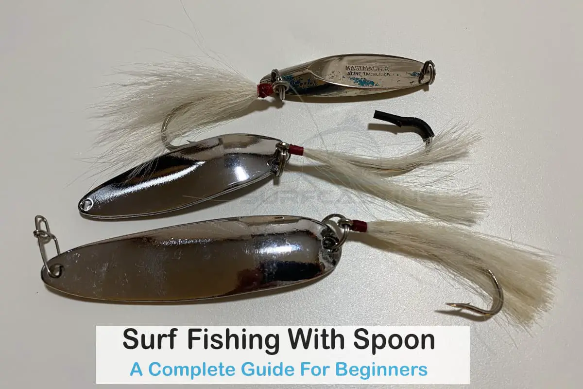 Surf Fishing With Spoon