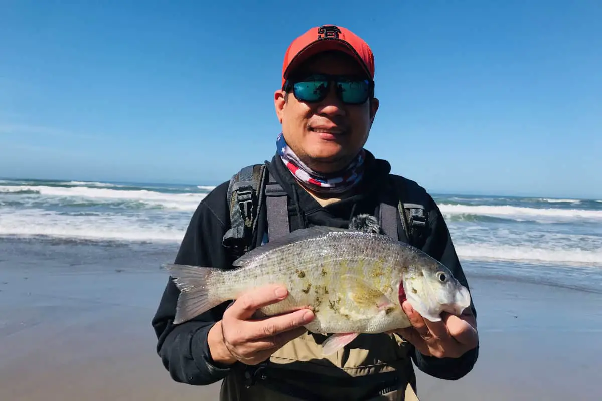 Do Polarized Sunglasses Help You Catch More Fish?