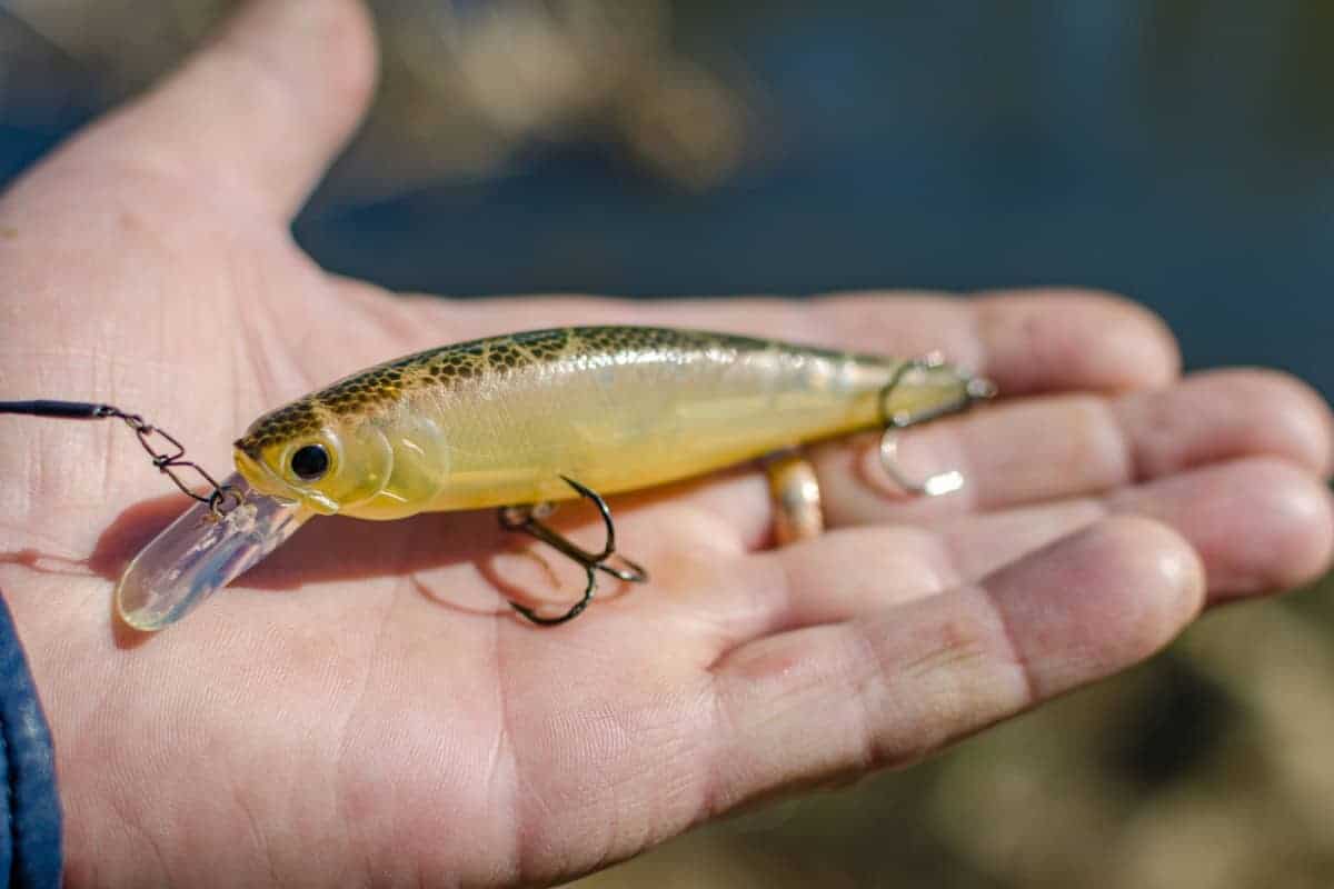 8 Best Surf Fishing Lures You Should Try