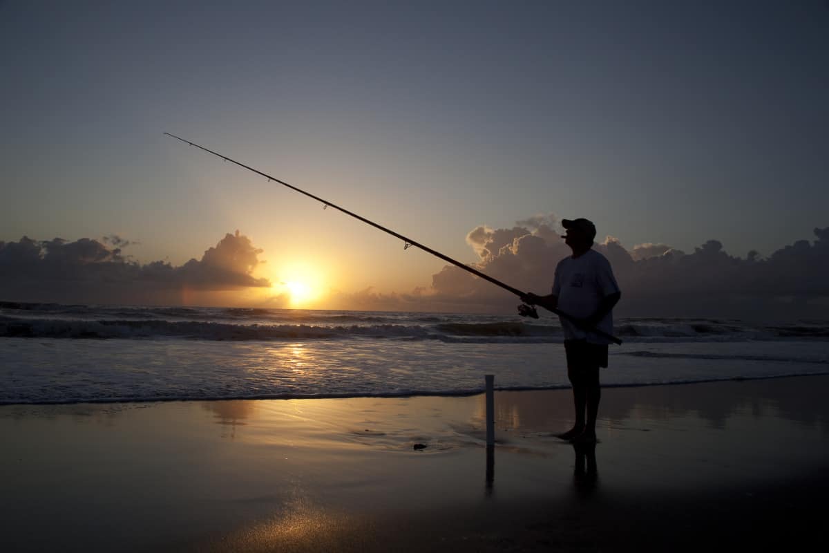 Surf Fishing for Shark at Night Complete Guide And Tips