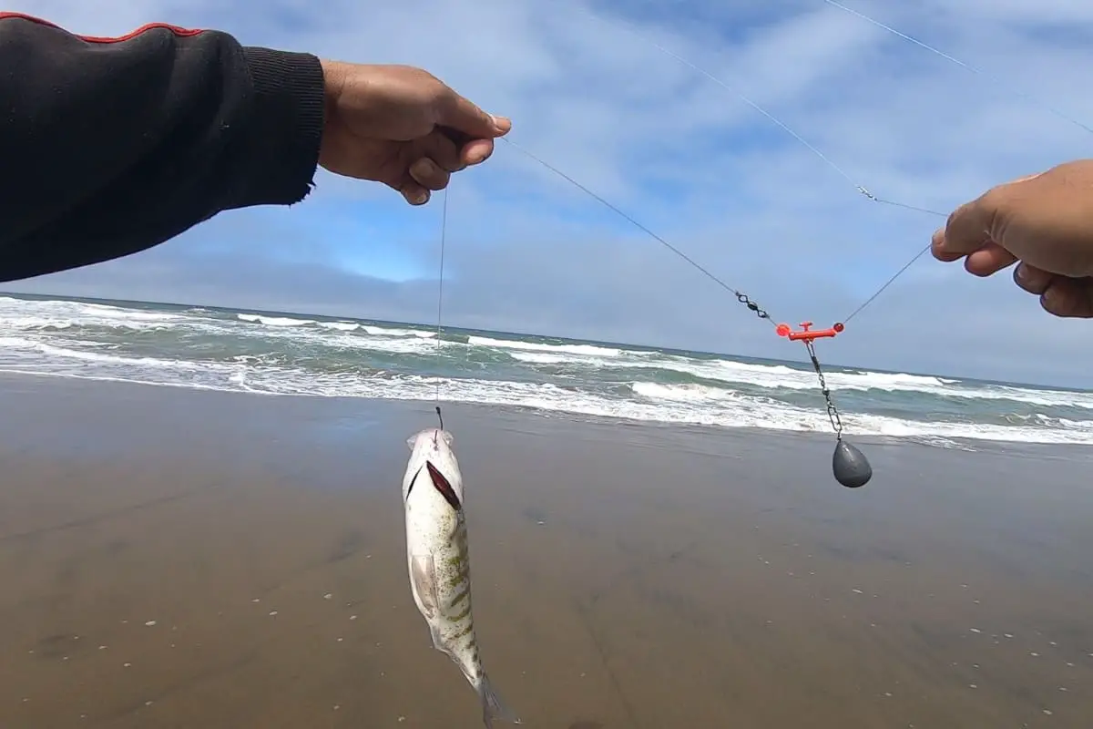 How Much Leader Should You Use for Surf Fishing?
