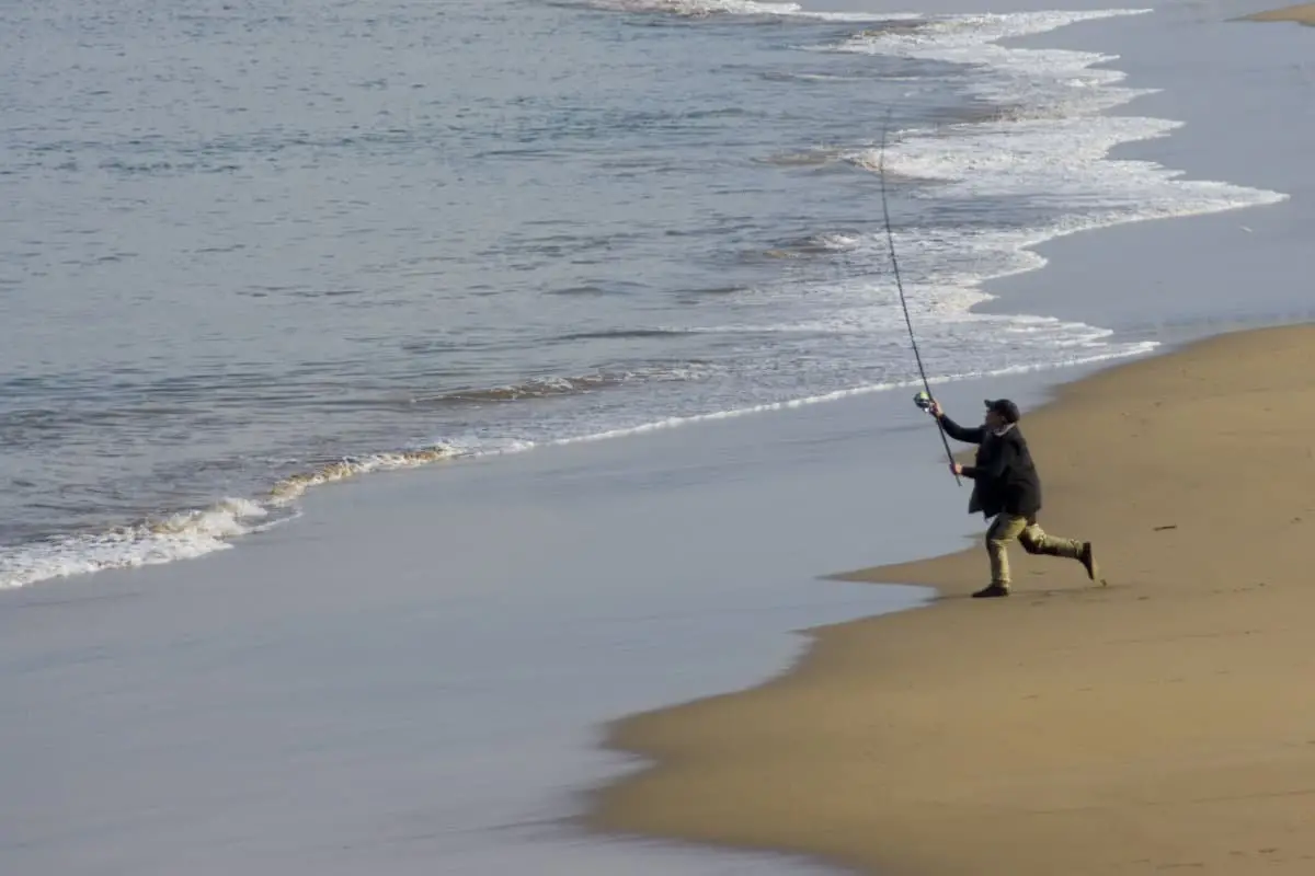 How To Choose The Best Surf Fishing Rods The Complete Guide 