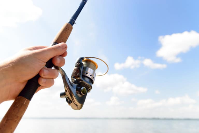 How to Surf Fish With Light Tackle? A Complete Guide. Surfcasting