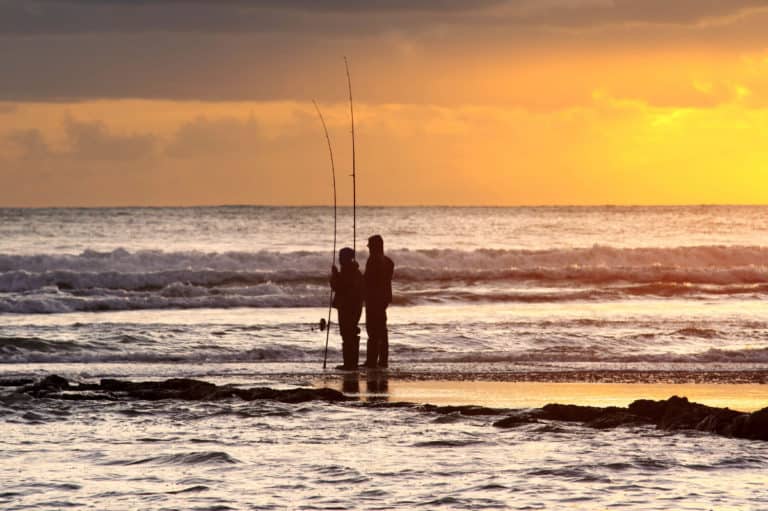 Surf Fishing Rules And Regulations In California Everything You Need