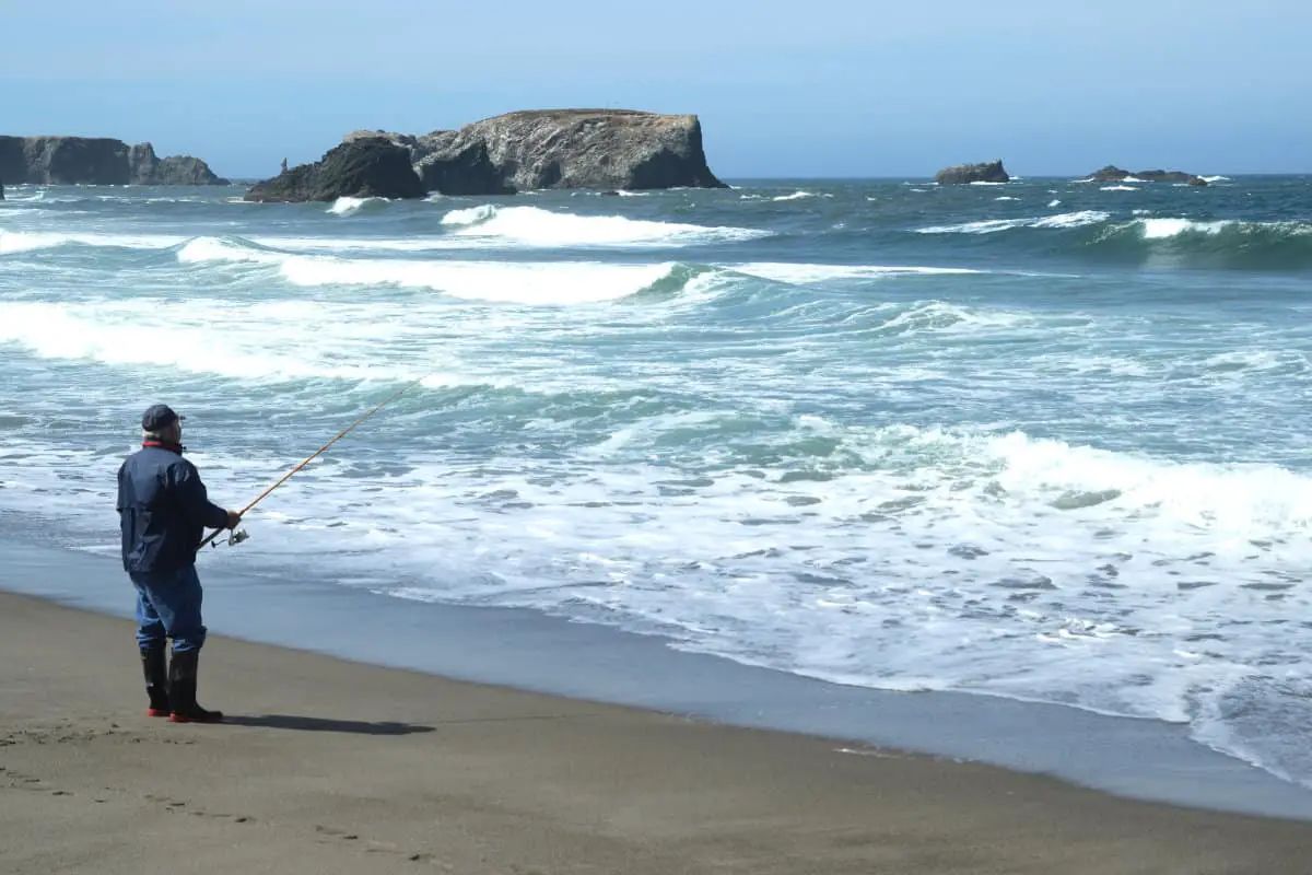 What Kind of Fish Can You Catch Surf Fishing in Oregon?