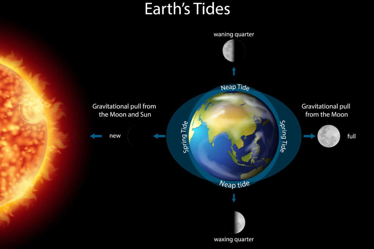 How Many High And Low Tides Occur Each Day