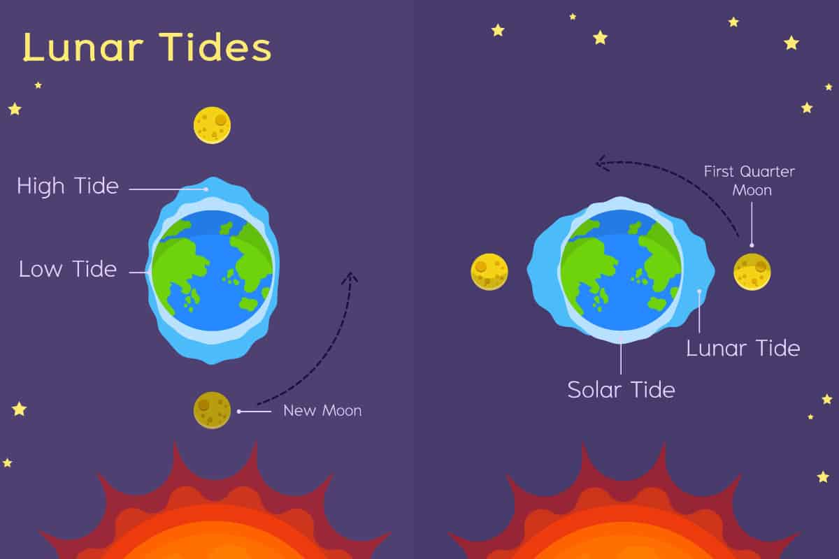 Solunar Theory: Understanding the Pattern of the Moon for Ideal Fishing