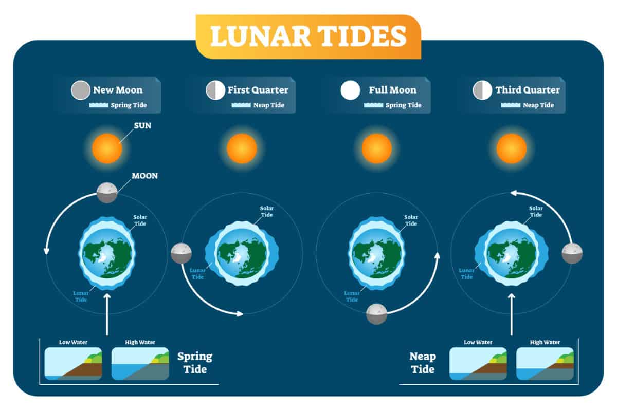 lunar tides