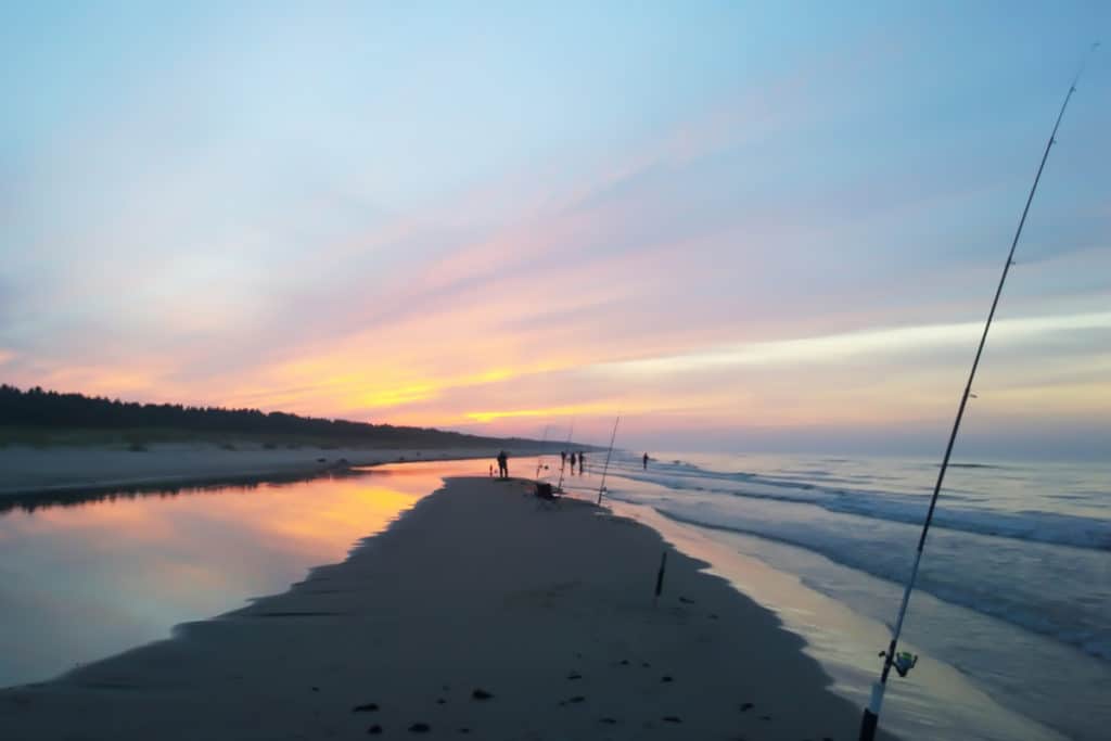 What Is the Best Time, Tide, Weather Condition, and Water Temperature