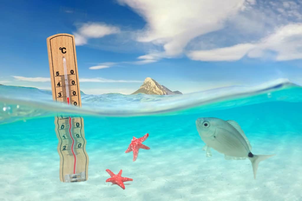 Best Water Temperature For Surf Fishing Surfcasting Republic