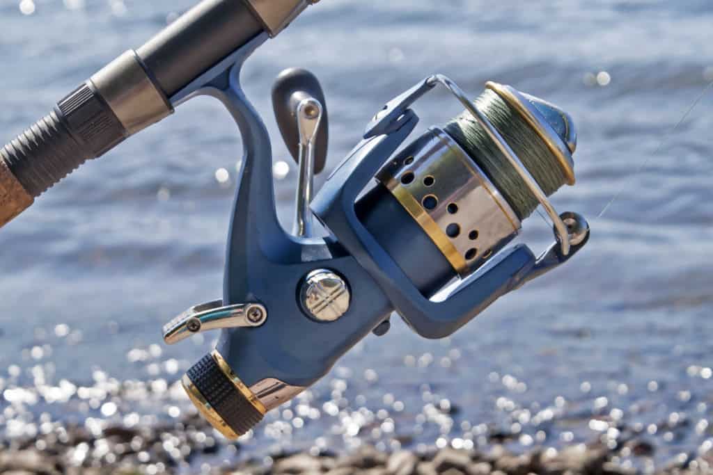 9 Best Baitfeeder Spinning Reels Surfcasting Republic