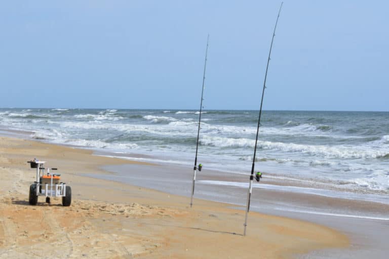 Texas Surf Fishing Everything You Need To Know Surfcasting Republic