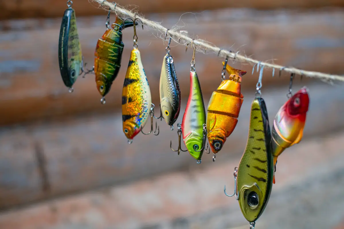 Can You Use Freshwater Lures In Saltwater? Explained! – Surfcasting Republic