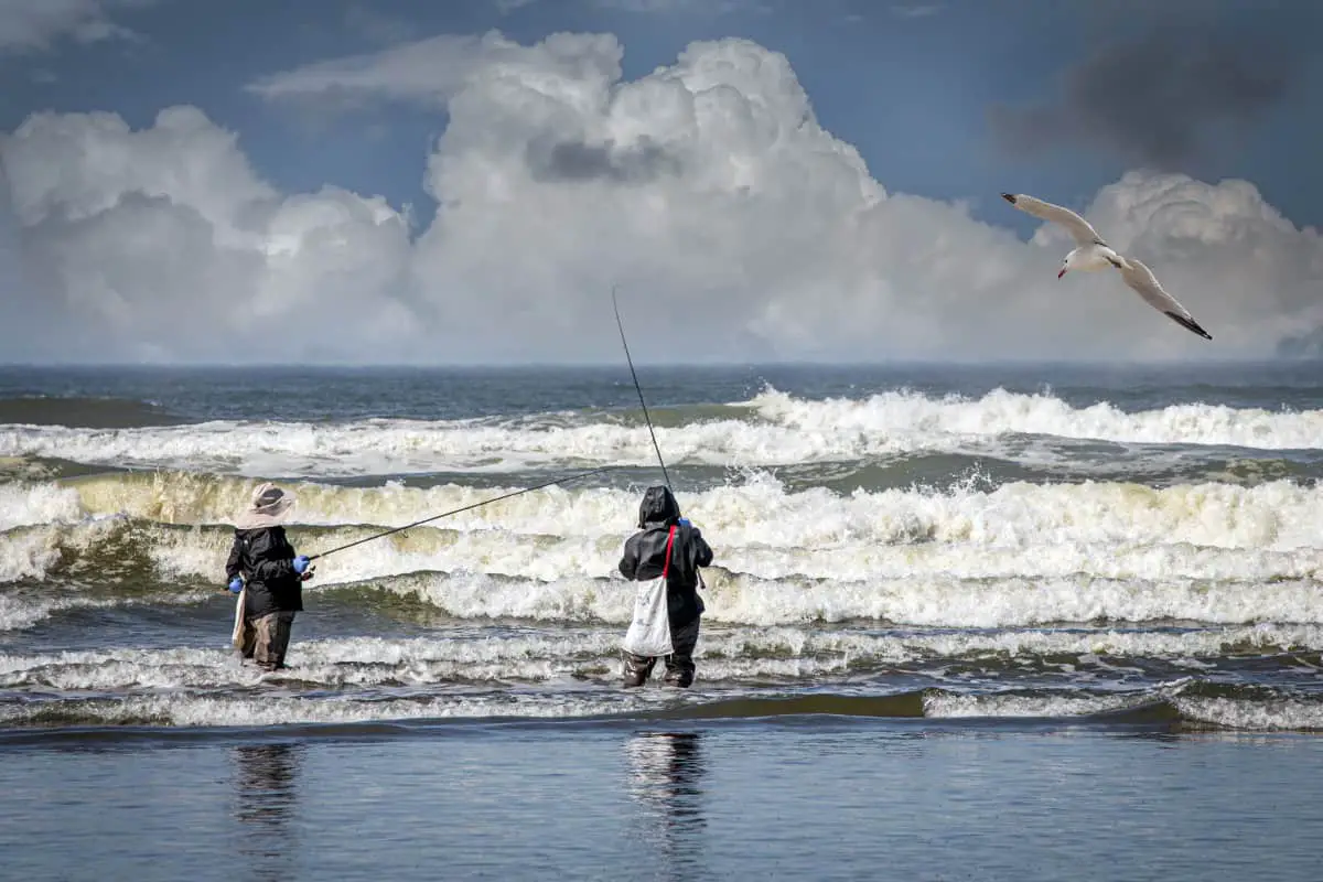 where to cast when surf fishing
