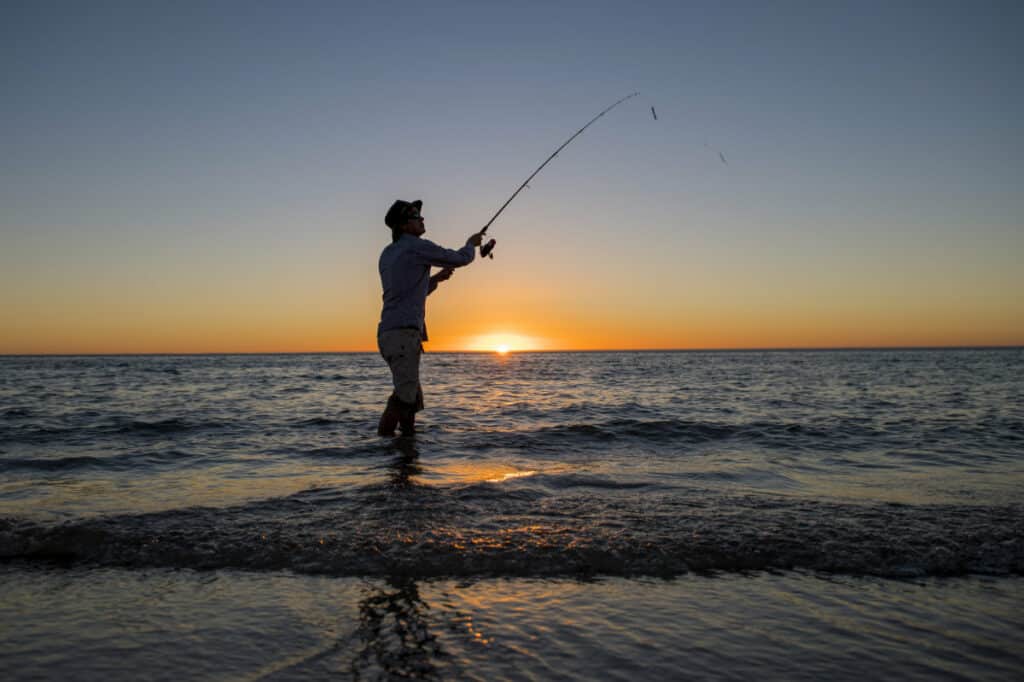 What Is the Best Bait For Surf Fishing At Night? Surfcasting Republic