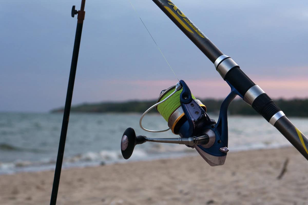 saltwater spinning reel